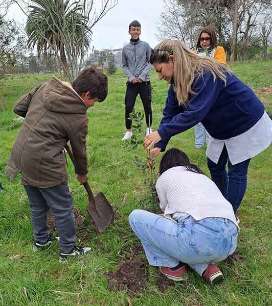 Alumnos plantando un árbol